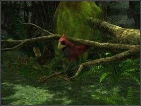 [#031] - Las (cz.2) | Opis przejścia Atlantis Evolution - Atlantis Evolution - poradnik do gry