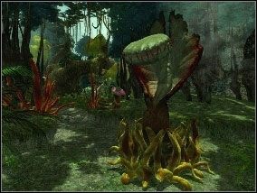 [#032] - Las (cz.2) | Opis przejścia Atlantis Evolution - Atlantis Evolution - poradnik do gry