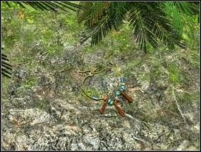 [#042] - Las (cz.3) | Opis przejścia Atlantis Evolution - Atlantis Evolution - poradnik do gry