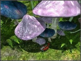 [#047] - Las (cz.3) | Opis przejścia Atlantis Evolution - Atlantis Evolution - poradnik do gry