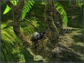 [#050] - Las (cz.3) | Opis przejścia Atlantis Evolution - Atlantis Evolution - poradnik do gry