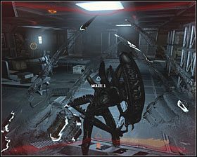 [#285] - Jungle (2) | Kampania Predatora w Aliens vs Predator - Aliens vs Predator - poradnik do gry