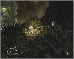 Tyrell, L - Jungle | Dzienniki audio w Aliens vs Predator - Aliens vs Predator - poradnik do gry