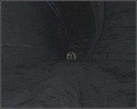 Kanister leży w rogu planszy, tuż obok odciętego budynku, do którego dostaniesz się po wciśnięciu trzech płyt - Ruins | Kanistry w Aliens vs Predator - Aliens vs Predator - poradnik do gry