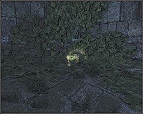 Po wejściu na teren gdzie znajduje się arena, zejdź po schodach i od razu skręć w prawo - Ruins | Kanistry w Aliens vs Predator - Aliens vs Predator - poradnik do gry