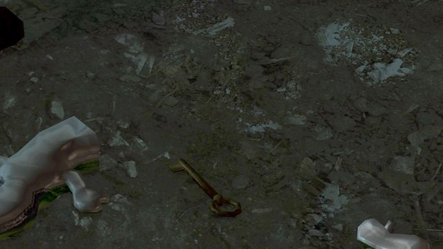 Rozbij zieloną jaszczurkę, drugą od wejścia - Jaszczurka (The Lizard) | Opis przejścia Heavy Rain - Heavy Rain - poradnik do gry