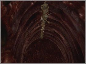 Obok fontanny z życiem i z maną znajduje się świetlista kula - Opis przejścia - Gluttony (1) | Kompletny opis przejścia Dantes Inferno - Dantes Inferno - poradnik do gry