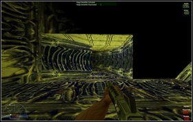 2 - Bonus I - Temple - Marines - Aliens vs Predator Classic 2000 - poradnik do gry