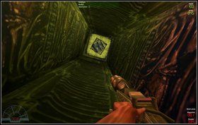 Zlatujemy na dół z krawędzi (używając plecaka odrzutowego) i tam bierzemy miotacz ognia i zbroję, a potem wchodzimy do tunelu - Bonus I - Temple - Marines - Aliens vs Predator Classic 2000 - poradnik do gry