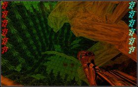 Po ubiciu kilku Obcych używamy haka żeby dostać się na półkę pod sufitem - Bonus III - Temple - Predator - Aliens vs Predator Classic 2000 - poradnik do gry