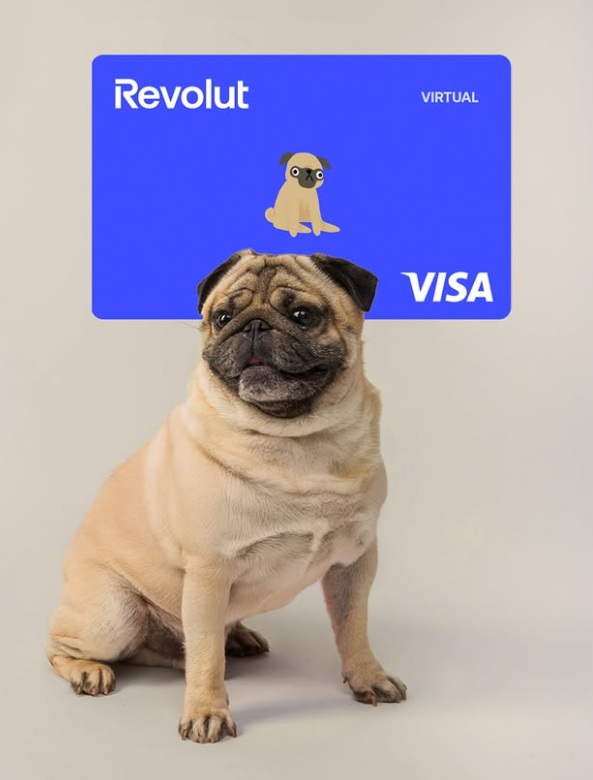 Wzory kart z psimi motywami skradną serca wielu użytkowników. Źródło: Revolut / Instagram.