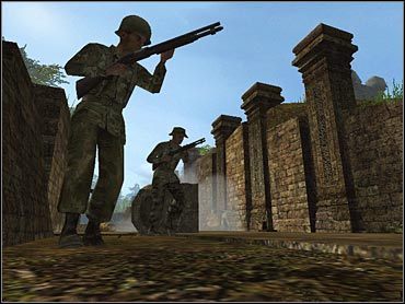 Vietcong „ozłocony” - ilustracja #1