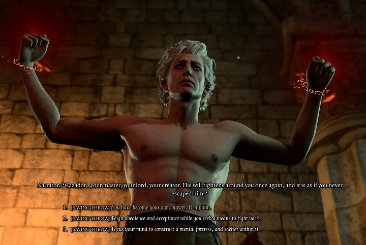 Źródło: Soft_Stage_446 / Reddit - Popełniając tragiczny błąd w Baldur's Gate 3 obejrzycie historię z perspektywy, której doświadczyła tylko garstka graczy - wiadomość - 2025-01-13