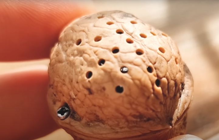 Youtuber zbudował głośnik z orzecha włoskiego, to naprawdę działa - ilustracja #3