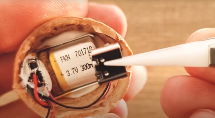 Youtuber zbudował głośnik z orzecha włoskiego, to naprawdę działa - ilustracja #1