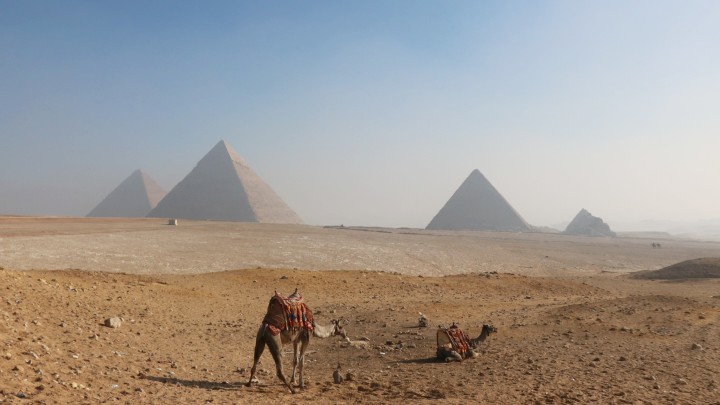 900 tys. lat temu prawie wymarliśmy, ale uratowała nas maleńka „wioska” - ilustracja #2