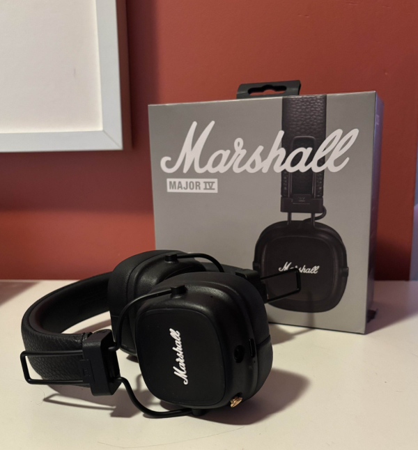 Źródło: grafika własna