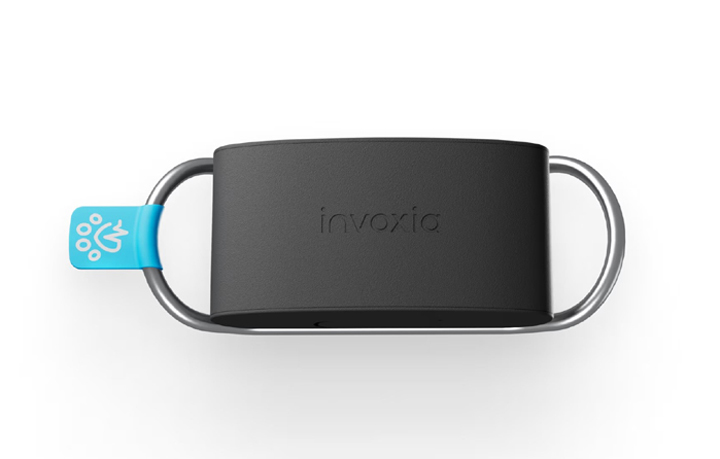 Z tą opaską nie będziecie musieli martwić się o bezpieczeństwo zwierzaka: zawiera nadajnik i monitoruje jego serce - ilustracja #1