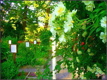 Time Stand Still: A Carol Reed Mystery – nowa przygodówka w produkcji - ilustracja #3