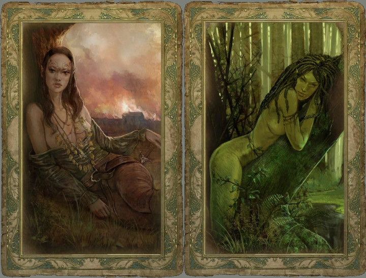 Karty romansu w Wiedźminie były błędem, twórca zdradza dlaczego je wprowadzono - ilustracja #1