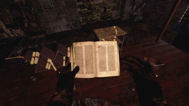 Fan przerobił Wiedźmina 1 na intrygującą grę VR; nowa wersja projektu - ilustracja #2