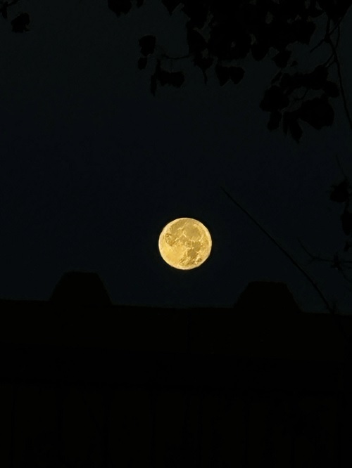 Zdjęcie Księżyca zrobione iPhonem. Źródło: mork_zuff / Reddit.
