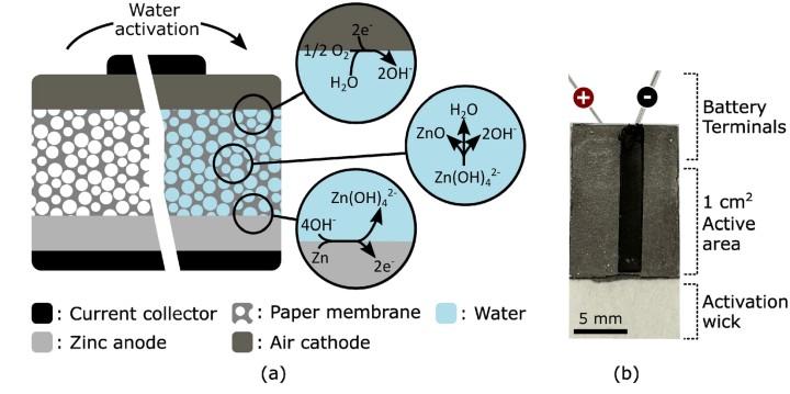 Przyszłość czy bzdura? Papierowe baterie są ekologiczne i proste - ilustracja #2