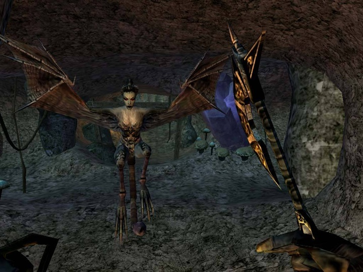 The Elder Scrolls III: Morrowind. Źródło: Bethesda Softworks. - To surowe RPG z otwartym światem jest otoczone prawdziwym kultem. The Elder Scrolls III: Morrowind obchodzi dzisiaj 24. urodziny - wiadomość - 2026-05-01