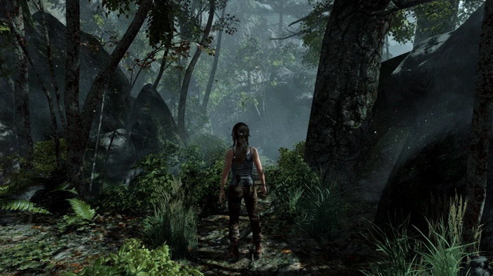 Tomb Raider: Definitive Edition. Źródło: Reddit. - Przed TAA gry nie były brzydko rozmazane. Tomb Raider: Definitive Edition i Rise of the Tomb Raider to graficzne majstersztyki - wiadomość - 2025-03-28