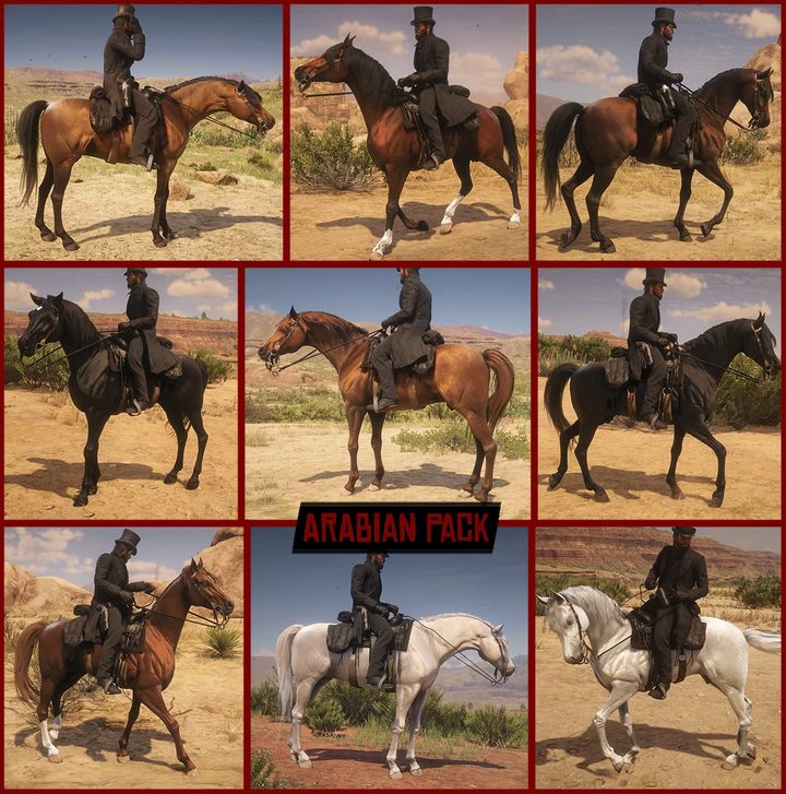 Nowe, realistyczne rasy koni w RDR2 dzięki tej modyfikacji - ilustracja #2