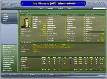 Na 11 dni przed polską premierą Football Managera 2005 - ilustracja #2