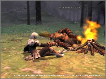 Czystka w Final Fantasy XI - ilustracja #2