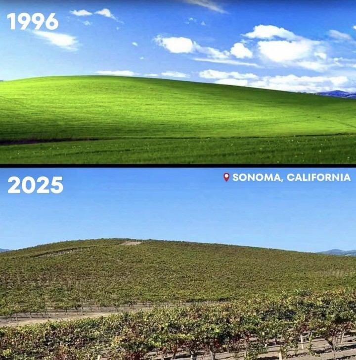 Źródło: Reddit - Najbardziej znanym tłem systemu Windows XP jest łąka: 29 lat później wygląda ona zupełnie inaczej w rzeczywistości - wiadomość - 2025-07-28