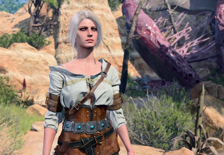 Wasza postać w Baldurs Gate 3 może wyglądać jak Ciri. Oto co trzeba zrobić - ilustracja #2