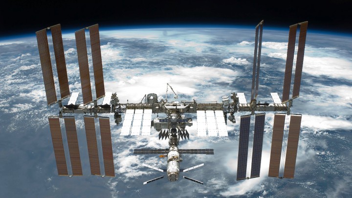 Kosmiczne myszy to nietypowy eksperyment japońskich naukowców na stacji ISS - ilustracja #1