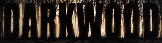 Darkwood sfinansowany – powstanie polski survival horror - ilustracja #3