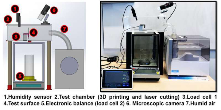 Pająki i chrząszcze mogą pomóc w tworzeniu nowych technologii zbierania wody - ilustracja #1