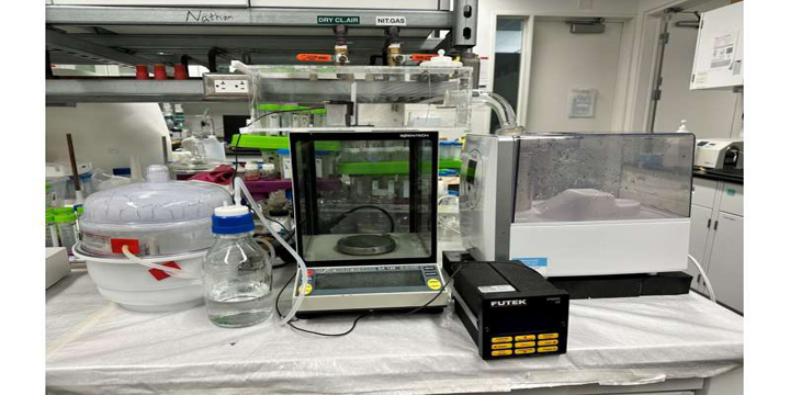 Pająki i chrząszcze mogą pomóc w tworzeniu nowych technologii zbierania wody - ilustracja #2