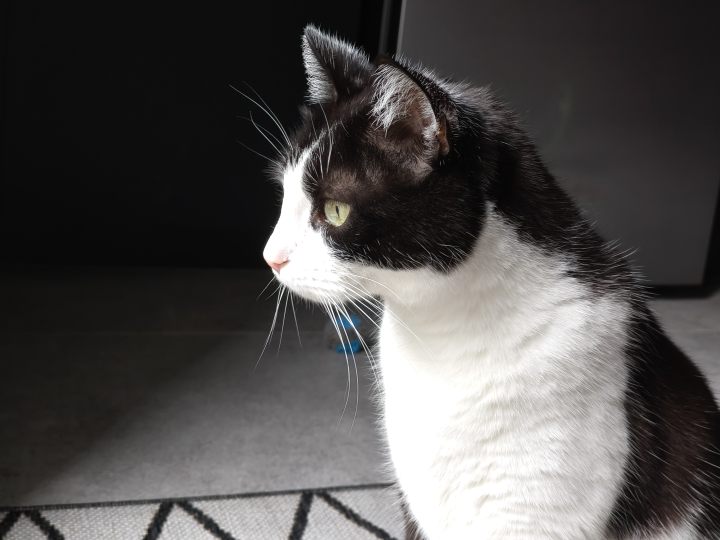 Warto wypatrywać potencjalnych promocji, bo jeżeli realme GT 7 dodatkowo stanieje, może być bardzo łakomym kąskiem. Źródło: fotografia własna. - Zoom, który naprawdę działa, i bateria bez końca. realme GT 7 pozytywnie zaskakuje - wiadomość - 2025-06-03