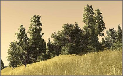 Technologia SpeedTree@RT w przyszłych produkcjach Microsoft Game Studios - ilustracja #1