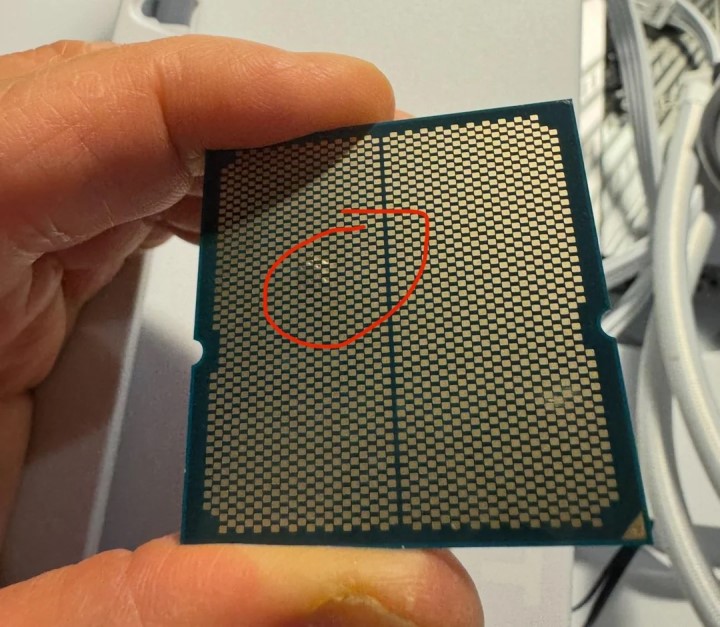 Źródło: Reddit | i_fliu