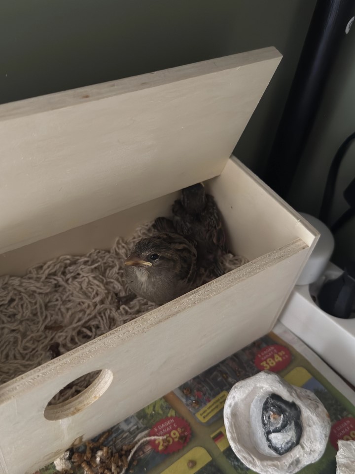 Źródło: Reddit | GotMyAttenti0n