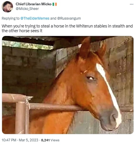 Masa fanów Skyrima właśnie dowiedziała się, że konie to konfidenci - ilustracja #1