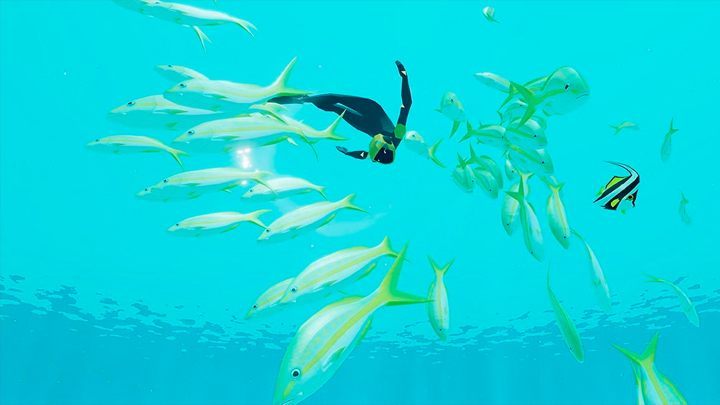 Abzu - Dystrybucja cyfrowa na weekend (m.in. Abzu, Massive Chalice, Stronghold: Crusader II i Squad) - wiadomość - 2017-04-08