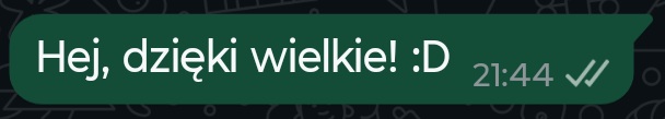 Dwa „ptaszki” pod wysyłanymi przez nas wiadomościami świadczą o tym, że nie zostaliśmy zablokowani przez naszego rozmówcę.