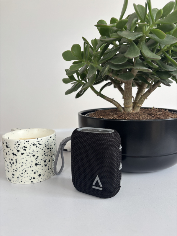 Źródło: fot. własna.