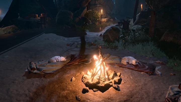 Źródło: Larian Studios - Baldur's Gate 3 da się przejść nawet jako kot i to bez żadnych modów. Największym przeciwnikiem są wówczas drzwi - wiadomość - 2024-02-08