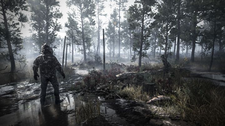 Chernobylite wzbogacone o nową aktualizację. W grze dostępna jest nowa mapa - ilustracja #1