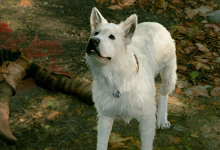 Larian Studios - „Nawet Mroczna Żądza tak nie robi”. Chłopak graczki okazał się zazdrosny o postacie z BG3 i mścił się na nich w co-opie - wiadomość - 2024-10-10