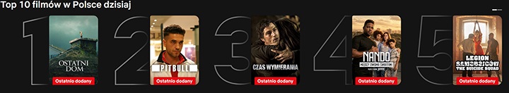Netflix - Natychmiastowym hitem Netflixa jest jeden z najlepszych polskich kryminałów. Po jednym dniu trafił do top 10 - wiadomość - 2026-08-13